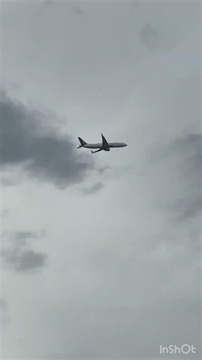 (4K60) AMERICAN AIRLINES A321 ON FINAL KMCO #aviation #airplane #planespotting #new