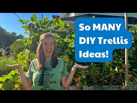 8 Easy DIY Trellis Ideas From Other Gardeners