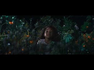 Luminere Wildest Dreams | Biltmore :30 (16x9)