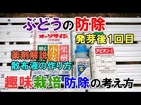 ぶどうの防除1回目 殺菌剤と殺虫剤を散布 ＆ ぶどう防除に対するスタンスについて