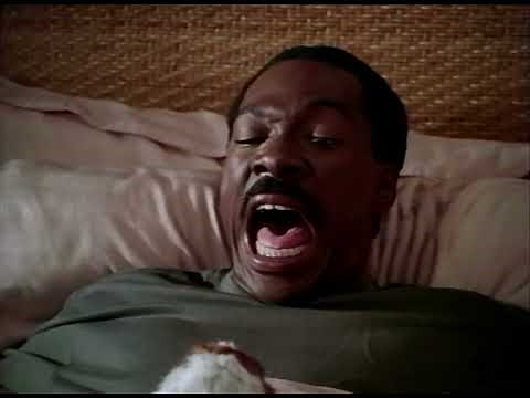 Opening to Anastasia (1998 VHS)