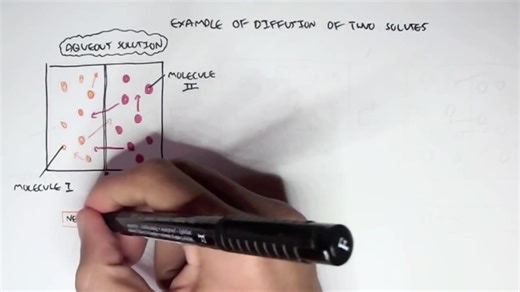 (Passive) Diffusion - Simple and Facilitated