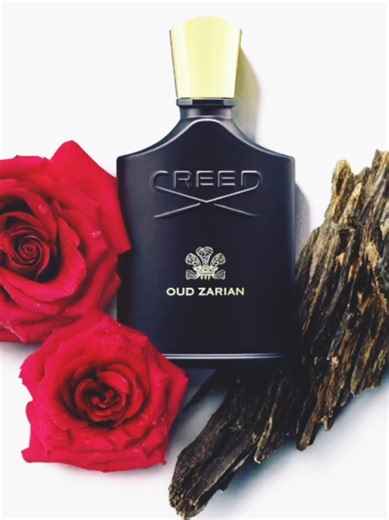 Oud Zarian Creed: The Essence of Aintemouchent