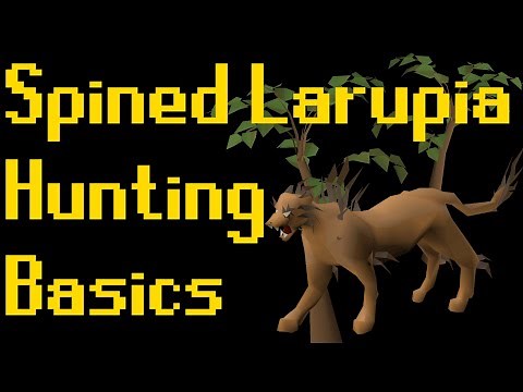Basic Spined Larupia Hunting Guide 2020 (OSRS)