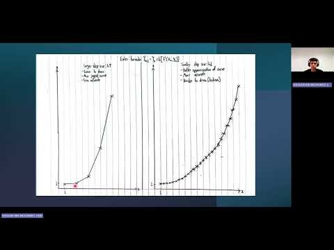 EM3 assignment (Euler method explanation)