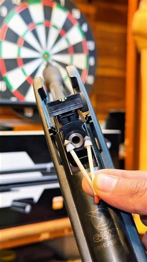 WHISPER X 🔥 VS GAMO 🎯POWER • PRECISION • PERFORMANCE #pcphunters #airsoft #pelletrifle