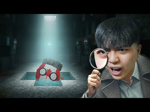 I'm Looking for Hidden Countryballs in Minecraft