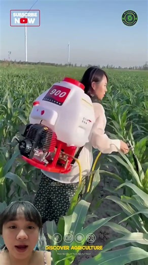 High-power mini sprayers in China