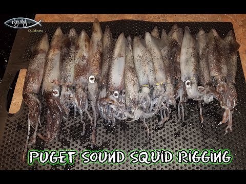 "How To" | Puget Sound Squid Rigging