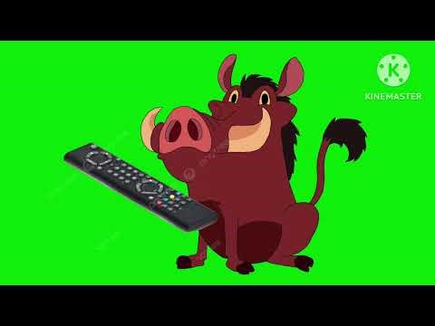 Timon And Pumbaa Green Screen 📺