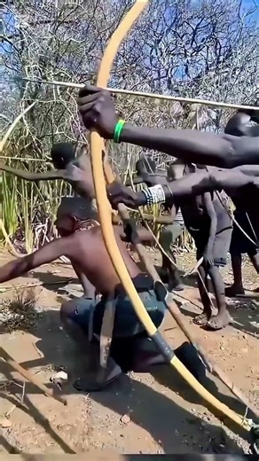 A wild moment in the bush… and a clever escape!