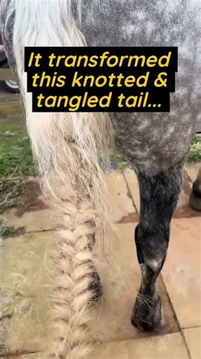 This Knotted Tail Transformation Will Shock You 😱🐴