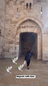 Jaffa Gate — an entrance to history, a passage to the heart of Jerusalem. 🇮🇱 #travel #Jerusalem #israelhistory | Nili Israel Photos