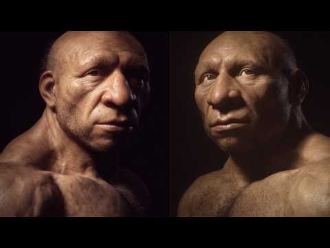 What If Neanderthals Are Just Modern Humans After All?