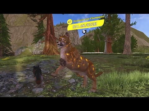 The Wolf - Mountain Lion Champion 🏆