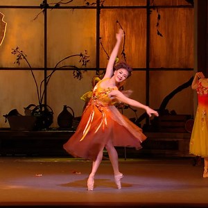 56K views · 1.6K reactions | Autumn begins with a touch of magic  Frederick Ashton’s Cinderella brings the seasons to life through dance and music, with the Autumn Fairy casting a spell of crisp energy and theatrical colour. On the first day of autumn, this variation shimmers with the richness of the season, where Ashton’s choreography and Prokofiev’s score intertwine in a celebration of change and renewal.  Yuhui Choe | Royal Ballet And Opera | Facebook