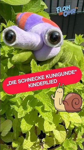 Schnecken 🐌 Kinderlied | Simone Ludwig | Kids Musik #flohimohrtv
