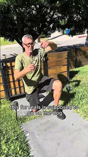 The Dog Harness That Changed Our Walks Forever 🐾 | No-Pull & Easy-On Harness by Joyride #Shorts