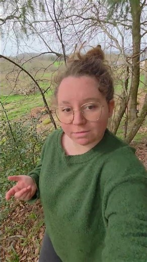 Avez-vous déjà vu un combat de chevreuil ?