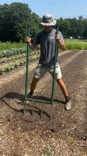 Cable Family Farm on Instagram: "This is what healthy soil looks like 🌱💪 In untouched ground, the broadfork hits resistance. In our garden beds, it glides right in. That’s the result of regenerative practices—years of compost, cover crops, and low-disturbance methods building structure and life underground. #SoilHealth #RegenerativeFarming #BroadforkTest #chinagrovenc #matthewsnc #mooresvillenc #salisburync #charlottenc #notill"