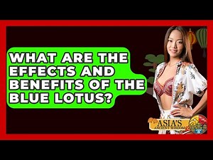 What Are The Effects And Benefits Of The Blue Lotus? - Asia's Ancient Wisdom