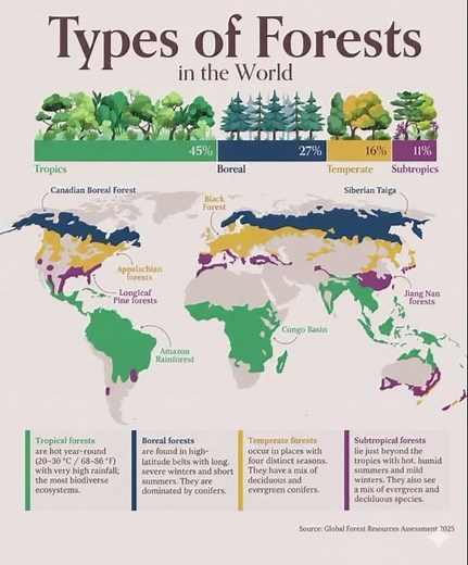 Types of Forest in the world ||UPSC || APSC ||