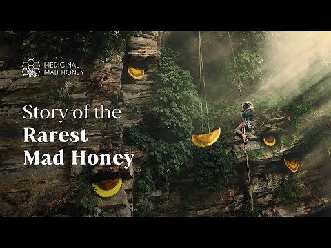 STORY OF THE RAREST Cliff HONEY | HONEY HUNTING TOUR #cliffhoney #wildhoneynepal