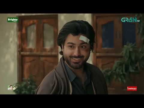 Badsha Tamahin Patah Hay Kah Tamahari Be Waqufi Ne Kiya Kar Diya Hay | Badshah Sundri New Review