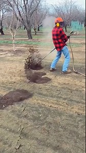 593K views · 7.5K reactions | Pocket gopher 勞 #reels | Jon Official's | Facebook
