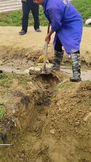 Month-by-Month Vegetable Gardening Guide