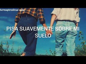 ABBA;Andante, Andante |lyrics español|