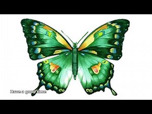 animated butterfly pictures
