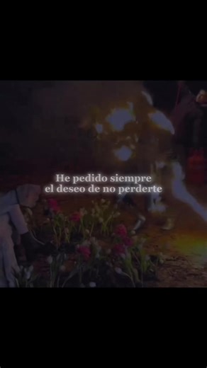 Efectos de Edición para Principiantes: Aprendizaje Divertido