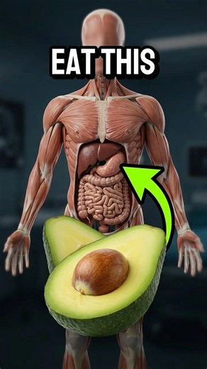 🥑 What Happens to an Avocado Inside Your Body? Digestion Animation #digestion #science #shorts