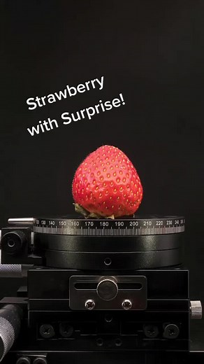 Wash your strawberries very well! 🍓 #strawberry #macro #photography #zoom #macrozoom #macroworld #microscope #fyp #foryoupage #viral #рекомендации