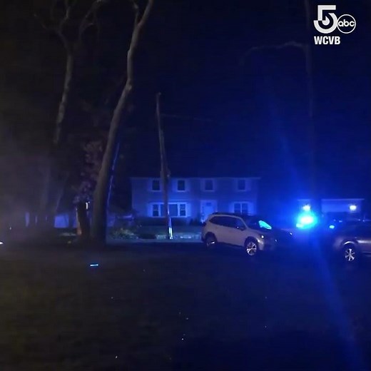 Tree falls on power lines in Lynnfield