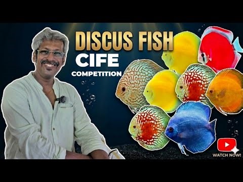 CERTIFIED DISCUS JUDGE @ ICAR-CIFE COMPETITION