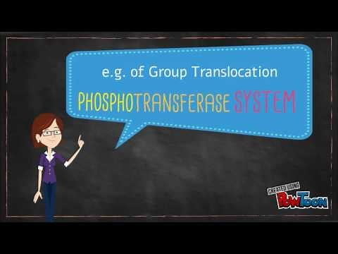 Group Translocation: The Phosphotransferase System