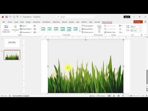 How to invert colors on a picture in PowerPoint