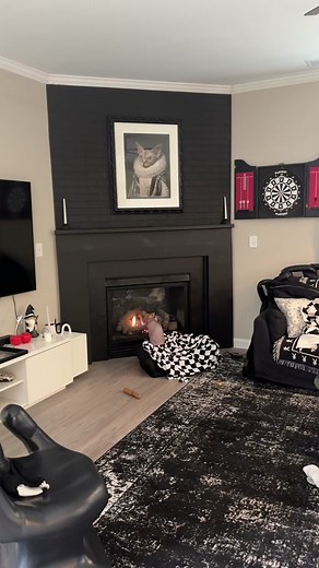 remy got tricked by my parents fireplace 😭 #funnycats #fireplace #cats #sphynx #catsoftiktok #petsoftiktok #funnypets #sphynx #hairlesscat #cutecat
