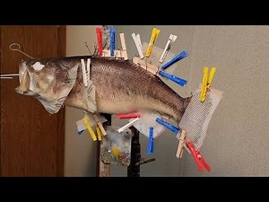 How to Mount a fish A-Z with a commercial body(No paint job included)