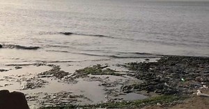 Pollution plagues Libya beaches | Africanews