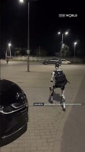 Humanoid #boar-chasing #robot becomes Polish internet sensation