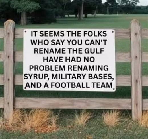 | Lisa Mel - Food and Travel Blogger, Political Commentator