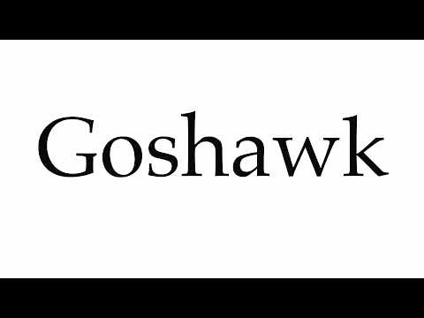 How to Pronounce Goshawk