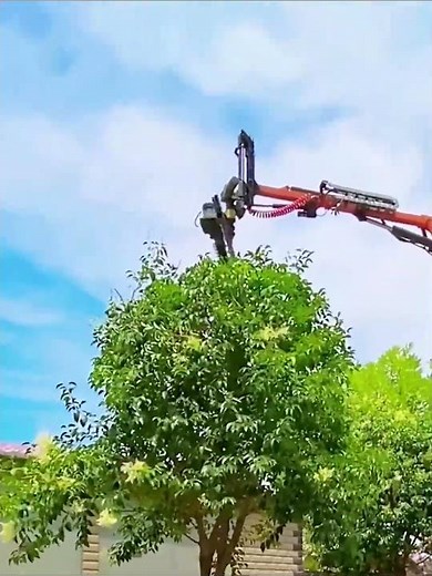 Satisfying Landscaping - The Ultimate Tree Pruning Machine