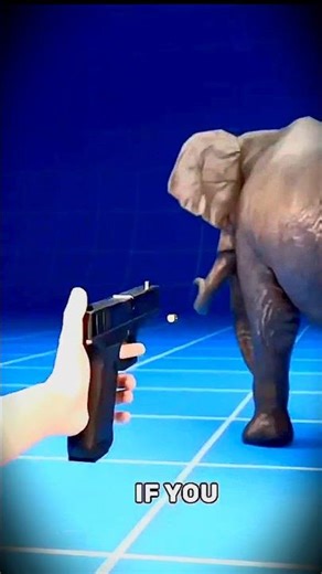 Elephant vs Bullet 😱 | Can a Gun Really Harm It? #facts#factvideo#viralshorts