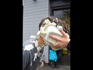 Pie In The Face (TikTok)