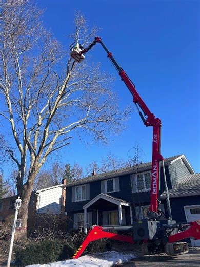Goman Articulated Spider Lift X26 doing a tree job in early spring #mewp #spiderlift #boomlift