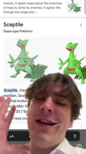 #greenscreen who’s your #birthday #pokemon #ireland | pokemon